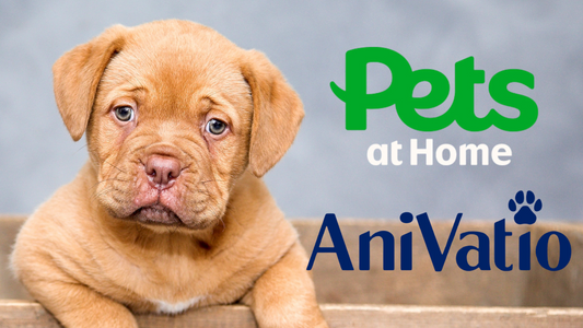 How AniVatio Helped Expand Pets At Home’s Product Range