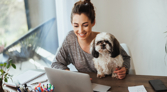 The Best Dog Breeds for Work-from-Home Owners