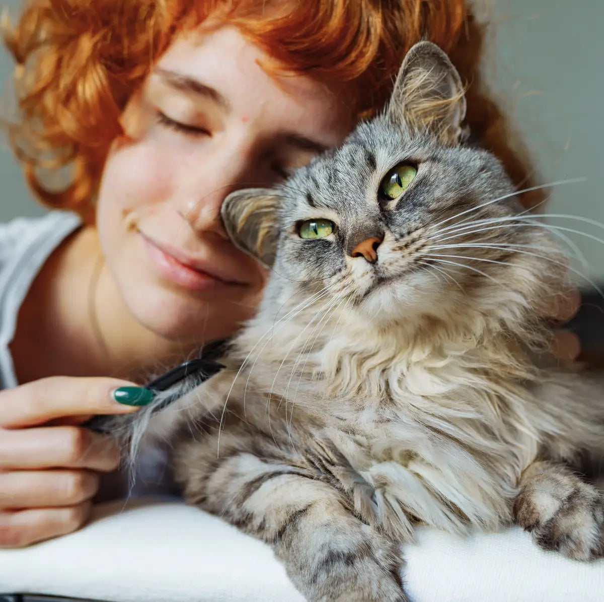 Cat Calm