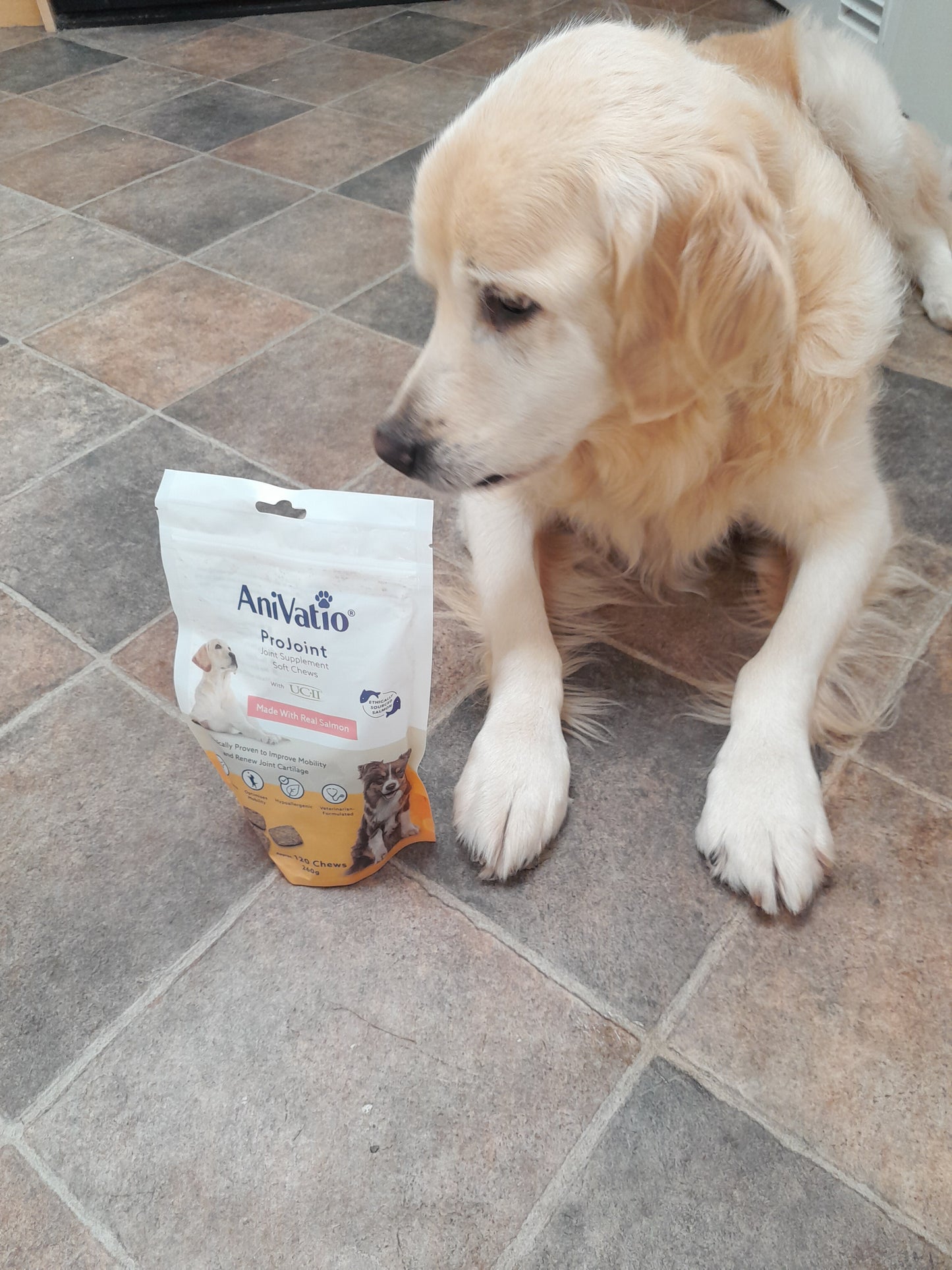 ProJoint Salmon Soft Chews