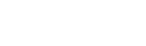 Anivatio logo in white