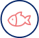 salmon fish icon