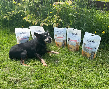ProJoint Salmon Soft Chews